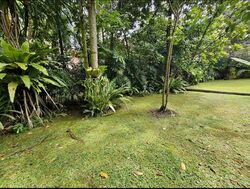 King Albert Park (D21), Detached #519532161